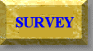 Survey